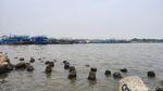 Lihat! Ini Laut Ancol dan Angke Jakarta yang Tercemar Parasetamol