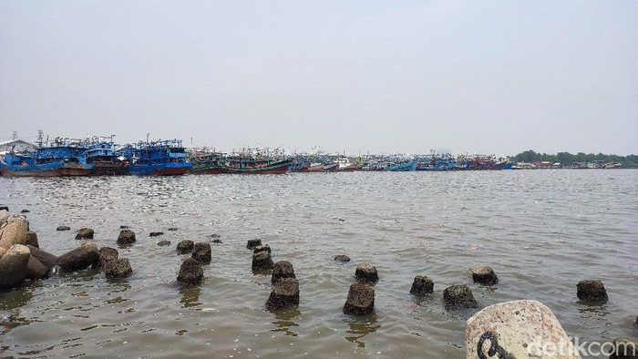 Pemandangan laut di Teluk Jakarta dipantau dari dermaga di Angke. Kabarnya, ini mengandung parasetamol. (Nahda Rizki Utami/detikcom)