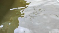 Air ini jelas tidak bersih. Warnanya kelabu dan kehijauan. Sampah-sampah plastik mengapung. Baunya juga tidak segar, campuran bau sampah dengan bau amis ikan.