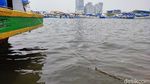 Lihat! Ini Laut Ancol dan Angke Jakarta yang Tercemar Parasetamol