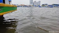 Lihat! Ini Laut Ancol dan Angke Jakarta yang Tercemar Parasetamol