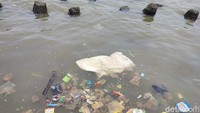 Penelitian yang dimuat jurnal Science Direct, Agustus 2021 memuat laporan soal kondisi air laut mengandung Parasetamol di sini. Peneitian dilakukan Wulan Koagouw, Zainal Arifin, George WJ Olivier, dan Corina Ciocan.