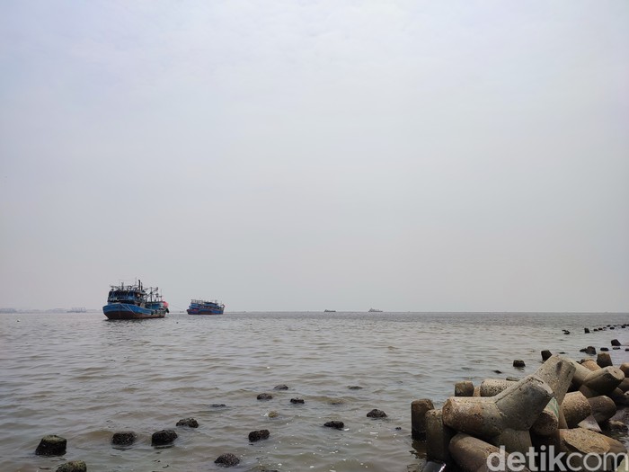 Pemandangan laut di Teluk Jakarta dipantau dari dermaga di Angke. Kabarnya, ini mengandung parasetamol. (Nahda Rizki Utami/detikcom) Pemandangan laut di Teluk Jakarta dipantau dari dermaga di Angke. Kabarnya, ini mengandung parasetamol. (Nahda Rizki Utami/detikcom)