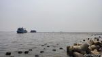 Lihat! Ini Laut Ancol dan Angke Jakarta yang Tercemar Parasetamol