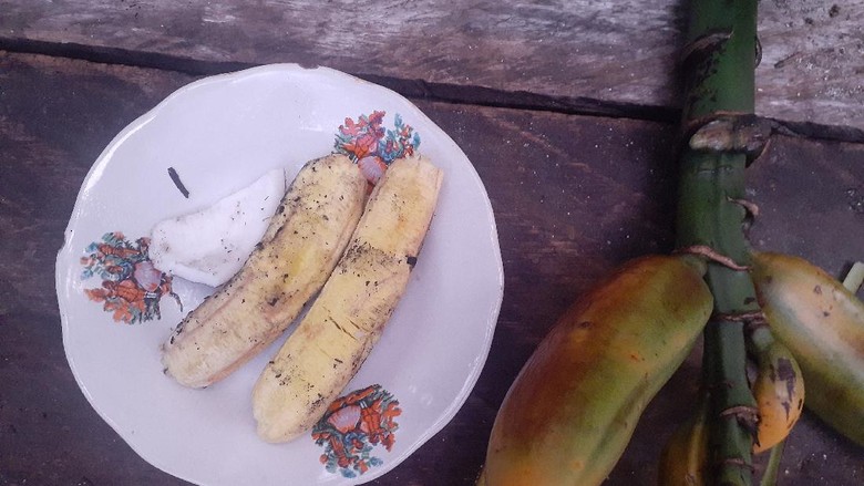 Pisang Tongkat Langit Pisang Tongkat Langit
