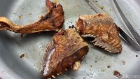 Menu primadona di sini adalah ikan kakap goreng. Teksturnya garing, gurih, dan renyah di bagian luar, namun tetap lembut di dalamnya.