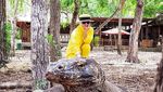 Potret Romantis Syahrini dan Reino Barack Liburan di Labuan Bajo, Pelukan di Atas Bukit