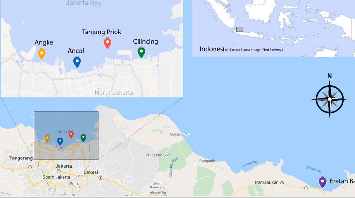 Air Laut Teluk Jakarta Mengandung Paracetamol Ini Titiknya