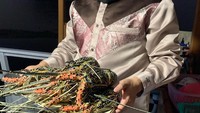 Momen kuliner Ustaz Solmed semakin seru saat menikmati seafood. Jenis seafood yang dimakan adalah lobster berukuran jumbo seperti ini. Foto: Instagram @ustad_solmed