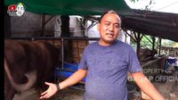 Aziz Gagap Jarang Tampil Di TV, Kini Sibuk Ternak 300 Kambing Dan Sapi