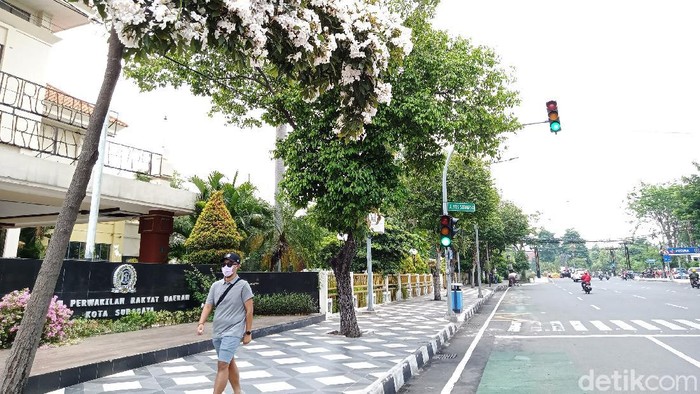 Cantiknya Bunga Tabebuya yang Bermekaran di Surabaya Bunga tabebuya di sejumlah jalan di Surabaya mulai bermekaran. Mekarnya bunga tabebuya membuat Kota Surabaya semakin indah.