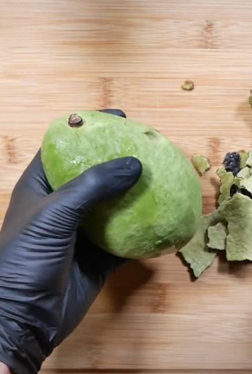 Cara baru makan alpukat, netizen bikin alpukat goreng pakai lelehan keju mozarella
