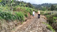 Perjalanan menuju ke sana bisa dimulai dari Terminal Magelang ke arah Kopeng. Kemudian sampai Batur, perjalanan beralih dengan jalur menanjak sekitar lima kilometer. Traveler akan disuguhi pemandangan areal persawahan dengan beragam tanaman sayur. (Erliana Riady/detikTravel)