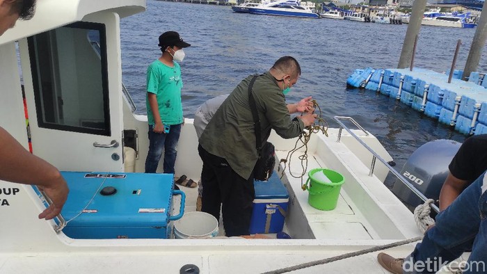 Dinas Lingkungan Hidup (DLH) Pemprov DKI Jakarta telah mengambil sampel air Laut Jakarta yang disebut mengandung Paracetamol. Sampel air laut tersebut dibawa untuk uji di laboratorium (lab).