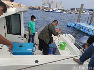 Pabrik Sumber Pencemaran Paracetamol di Teluk Jakarta Bertambah