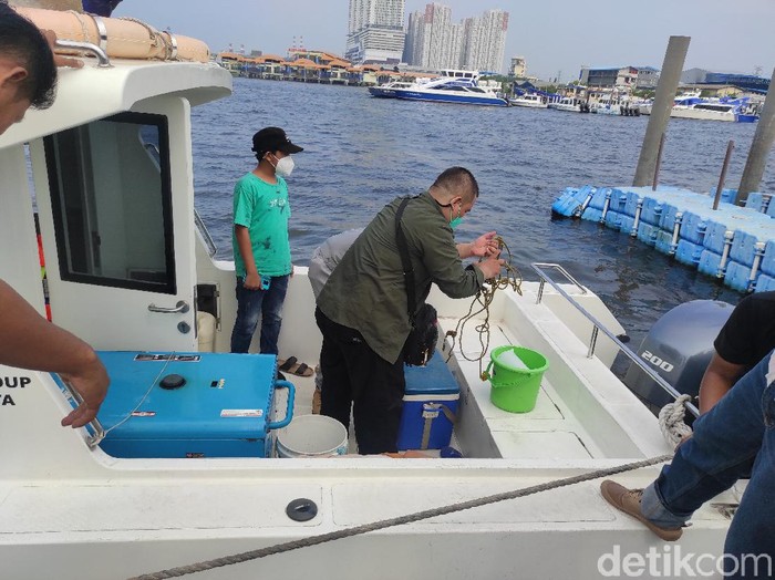 Dinas Lingkungan Hidup (DLH) Pemprov DKI Jakarta telah mengambil sampel air Laut Jakarta yang disebut mengandung Paracetamol. Sampel air laut tersebut dibawa untuk uji di laboratorium (lab).