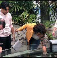 Foto yang mengecoh
