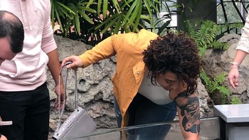 Tangan kiri dan kanan kok beda? Foto: Reddit