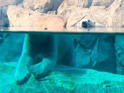 Hati-hati! Kalau Lihat Foto Ini Sekilas Bisa Salah Persepsi