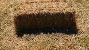 Seolah ada lubang. Foto: Reddit