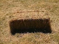 Waspada! Lihat Sekilas Foto Ini Bikin Mata Tertipu