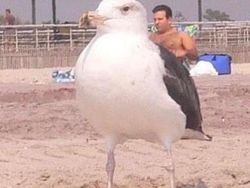 Hati-hati! Kalau Lihat Foto Ini Sekilas Bisa Salah Persepsi