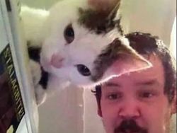 Hati-hati! Kalau Lihat Foto Ini Sekilas Bisa Salah Persepsi