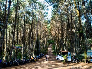 Bosan Wisata Biasa Saja? Jajal Rute Hiking dan Trekking di Lembang