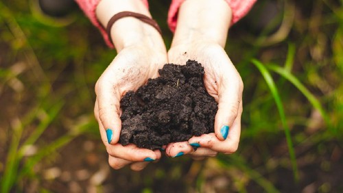 Ilustrasi pupuk organik