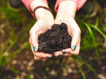 Industri Pupuk Organik Lokal Makin Dilirik