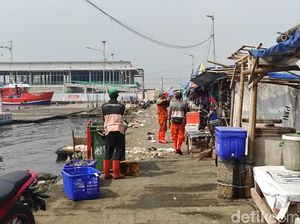 Paracetamol Cemari Laut Jakarta, Ilmuwan IPB Usul Batasi Peredaran