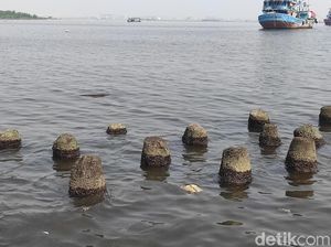 Disebut Tercemar Paracetamol, Amankah Wisata di Teluk Jakarta?