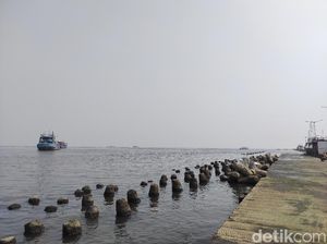 Wagub DKI soal Paracetamol Cemari Laut Jakarta: Harus Dibersihkan