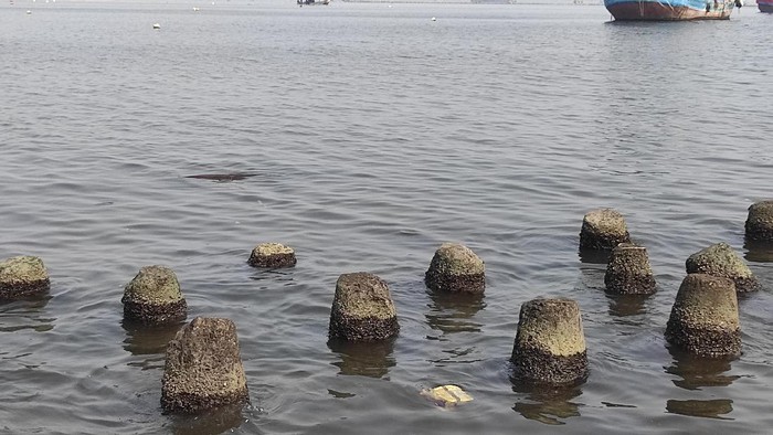 Laut Angke