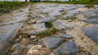 Jalan offroad dipertahankan oleh masyarakat setempat untuk menjaga eksistensi balapan klasik bergengsi Paris-Roubaix. Warga melarang jalur tersebut diaspal mulus maupun dibiarkan menjadi kubangan lumpur.