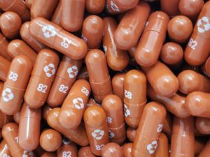 Jaga-jaga Gelombang-3, RI Bakal Punya Obat COVID-19 Molnupiravir Akhir Tahun