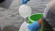 2 Perusahaan Pencemar Paracetamol ke Teluk Jakarta Disanksi Administrasi
