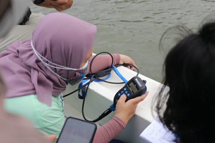 Peneliti itu terdiri dari Wulan Koagouw, Zainal Arifin, George WJ Olivier, dan Corina Ciocan menemukan konsentrasi tinggi paracetamol di Angke, yaitu 610 nanogram per liter, dan Ancol 420 ng/L, keduanya di Teluk Jakarta.
