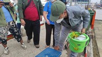 Saat tiba di pelabuhan, sampel itu terlihat dibawa menggunakan cool box berwarna biru. Kasie Pemantauan Kualitas Lingkungan DLH, Rahmawati mengatakan pihaknya belum bisa memastikan titik yang disebut tercemar paracetamol. (Dok. DLH DKI Jakarta)