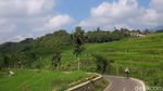 Nanjak Syahdu di Sumedang, Disambut Sawah Berundak Layaknya Bali