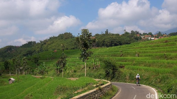 Pesepeda membelah lembah yang diselimuti sawah terasering. Tanjakan pendek dengan gradasai 5-6 persen membuat bersepeda ke sini cocok buat melepas lelah akhir pekan. Pesepeda membelah lembah yang diselimuti sawah terasering. Tanjakan pendek dengan gradasai 5-6 persen membuat bersepeda ke sini cocok buat melepas lelah akhir pekan.