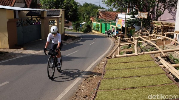 Pesepeda melintasi tembakau yang sedang dijemur. Aroma wangi tembakau membuat aktifitas bersepeda tidak membosankan. Pesepeda melintasi tembakau yang sedang dijemur. Aroma wangi tembakau membuat aktifitas bersepeda tidak membosankan.