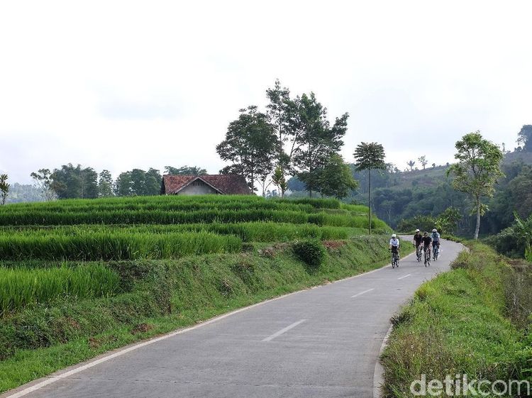 Nanjak Syahdu di Sumedang, Disambut Sawah Berundak Layaknya Bali