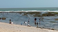 Wisatawan anak-anak bahkan orang dewasa acap kali menghabiskan waktu lama untuk menyusuri hamparan karang berburu kelomang atau sekedar melihat ikan-ikan kecil.