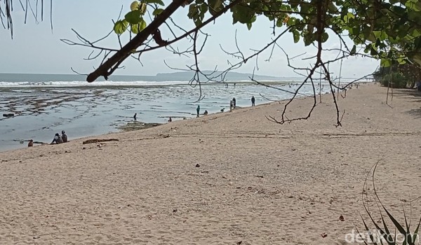 Hamparan karang di pantai juga membuat pantai Karapyak memiliki keunikan tersendiri. Di balik genangan air di hamparan karang kerap dijumpai binatang-binatang laut seperti kelomang, kerang, ikan kecil dan lainnya. Hamparan karang di pantai juga membuat pantai Karapyak memiliki keunikan tersendiri. Di balik genangan air di hamparan karang kerap dijumpai binatang-binatang laut seperti kelomang, kerang, ikan kecil dan lainnya.