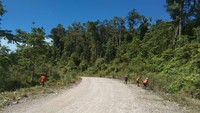 Ruas penjuru Timika dan Nabire melewati 5 kabupaten, yaitu Mimika, Dogiyai, Deiyai, Paniai, Nabire. Pembangunan ruas penjuru mendorong perkembangan kawasan industri semen dan smelter di Timika, serta mempermudah distribusi hasil pertanian dari Nabire, yang merupakan sentra pertanian organik.Foto: Dok. Kementerian PUPR-Ditjen Bina Marga