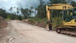 Wow! Bukit-Rimba Ditembus demi Buka Jalan di Papua