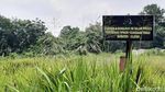 Penampakan Proyek Masjid Sriwijaya yang Mangkrak Akibat Korupsi