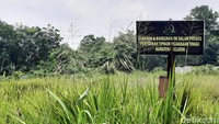 Di lahan proyek pembangunan masjid itu juga terpasang plang atau segel.