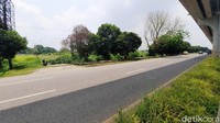 Proyek yang mangkrak itu terlihat dari Jalan Gub HA Bastari, Jakabaring, Palembang.